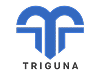 Triguna Logo